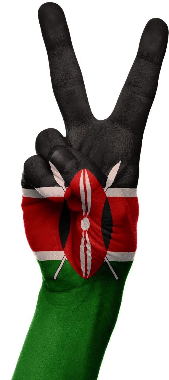 Siasa ya ID — Your ID Process Experience logo